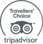 This image is a TripAdvisor Travelers' Choice logo, featuring an owl icon and the text 