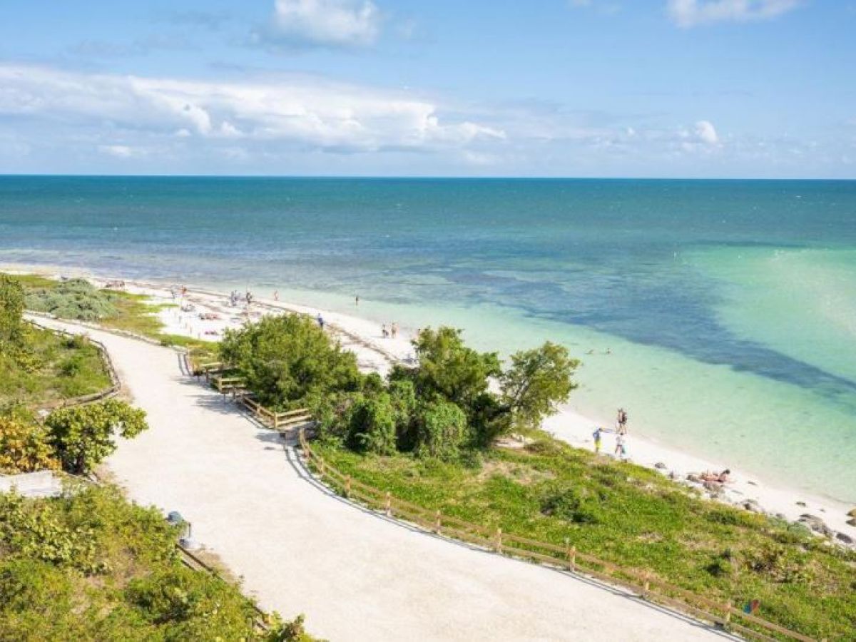 This image shows a scenic beach with clear blue water, a sandy shore, and a path surrounded by greenery leading to the beach.