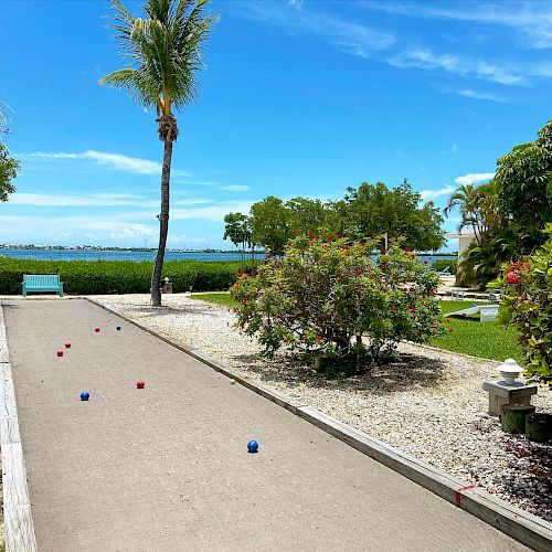 The image depicts an outdoor bocce ball court near a waterfront with palm trees and a clear blue sky in the background.