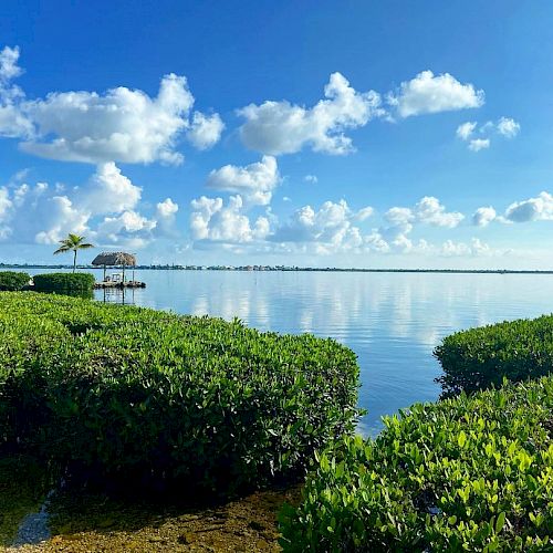 The image shows a serene coastal scene with lush green mangroves, calm water, blue sky, puffy clouds, and a small wooden pier with a thatched-roof hut.