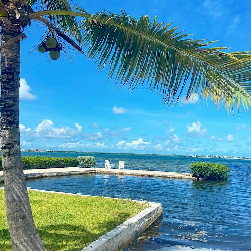 A waterfront scene featuring a palm tree, clear blue sky, and a tranquil body of water with two chairs on a dock.