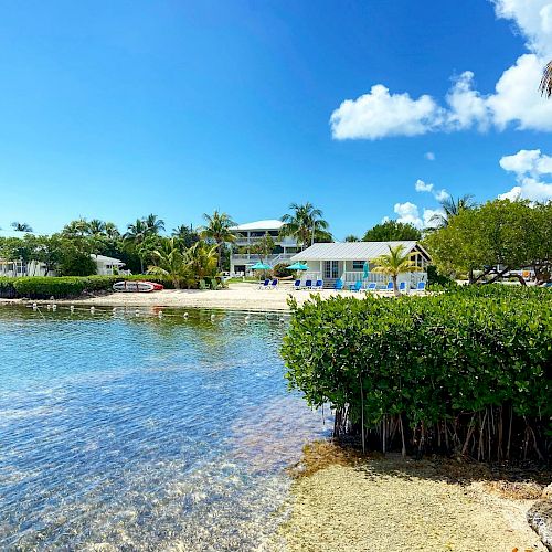 A serene beachside scene with clear water, lush greenery, and houses in the background under a bright blue sky with a few clouds.