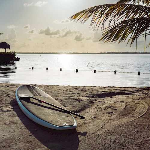 A paddleboard rests on a sandy beach by calm water, with palm trees and a sunset in the background.