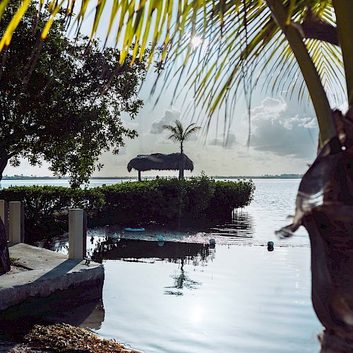 A tranquil waterside scene with palm trees, a hut on the water, and reflections in the calm water under a partly cloudy sky.