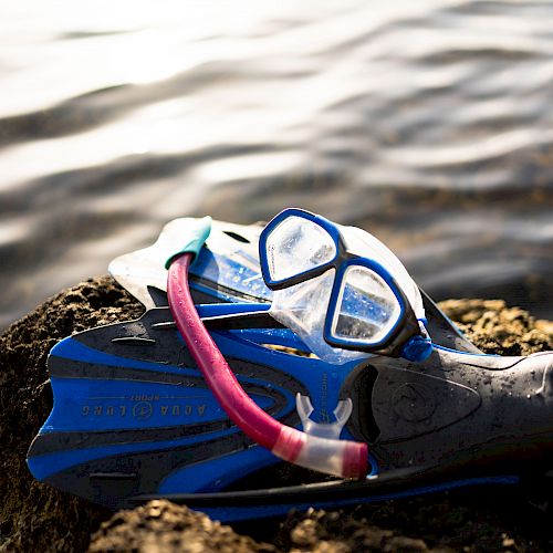 The image shows a pair of blue flippers and a snorkel mask with a pink snorkel, resting on a rock near the water.