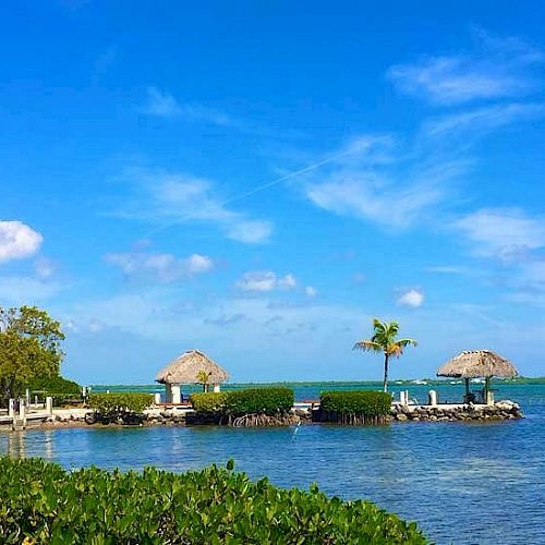 A scenic view of a tropical coastline with calm waters, lush greenery, palm trees, and thatched-roof huts under a bright blue sky ending the sentence.