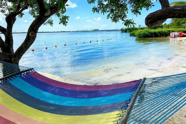 A colorful hammock is strung between two trees overlooking a serene and clear beach with calm blue waters and a distant view of the horizon.