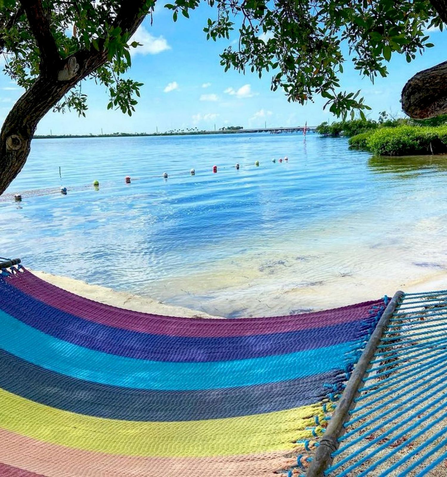 A colorful hammock hangs between trees on a sandy beach with clear blue waters in the background, under a bright sky with scattered clouds.