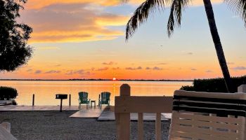 A serene beach scene at sunset with a palm tree, Adirondack chairs by the water, a dock, and a table in the foreground with a coffee cup.