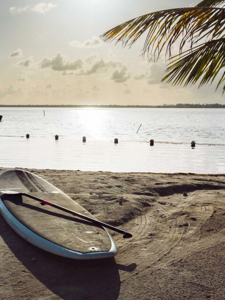 A paddleboard rests on a sandy beach with a view of a calm body of water, palm trees, and a small hut in the background under a bright sky.