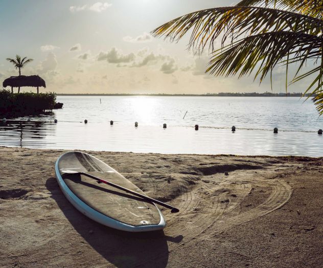 A paddleboard rests on a sandy beach with a view of a calm body of water, palm trees, and a small hut in the background under a bright sky.