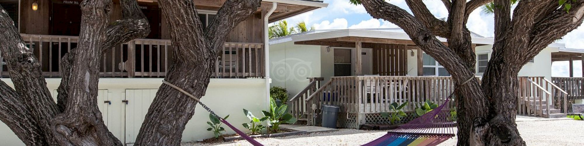 The image shows a colorful hammock tied between two large trees in front of a wooden building. The ground is covered with gravel.